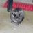 Justyna18_20111015182318_thumb
