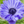 Gogox3_20120328120009_mini