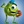 Izam_20120307141337_mini