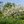 Justa91_20120302123441_mini