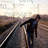 Rozowy_aniol_20120120131634_thumb